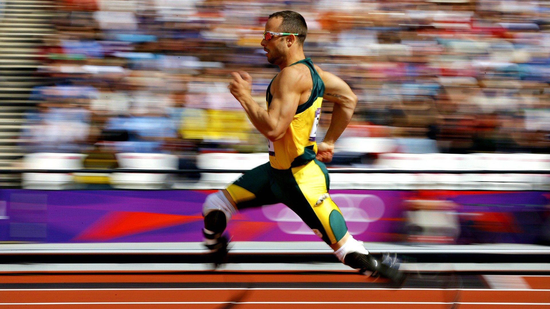 体育新闻中心深度解析政策支持体育发展，体育新闻中心深度解析政策支持体育发展建议