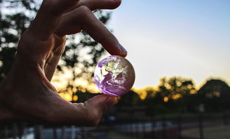 樊振东实力回暖，神奇反手令人刮目相看，樊振东惊呆对手